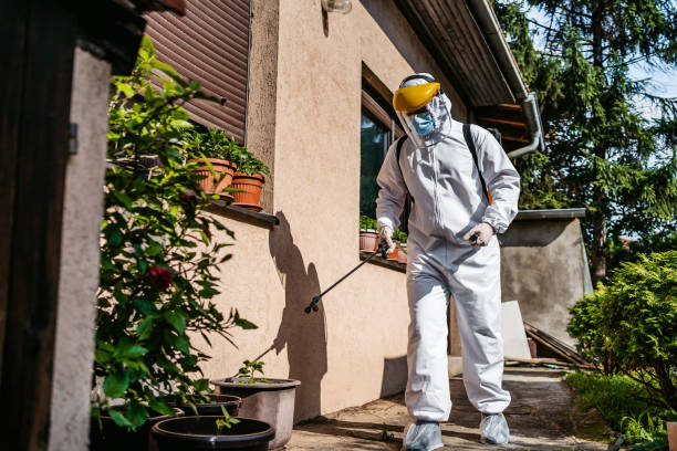 Best Pest Prevention Services  in Ripley, WV