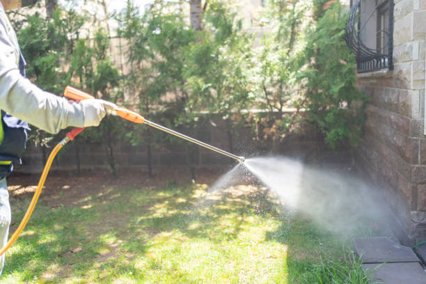 Best Exterminator Services  in Ripley, WV